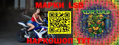 прущие грибы Гатчина