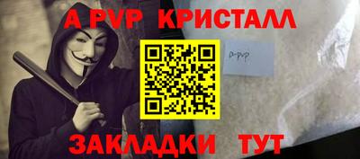 прущие грибы Гатчина