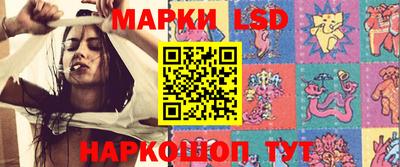 прущие грибы Гатчина