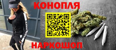 прущие грибы Гатчина
