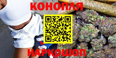 прущие грибы Гагарин