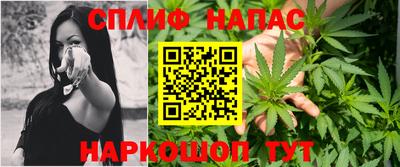 прущие грибы Гатчина