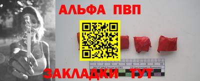прущие грибы Гатчина