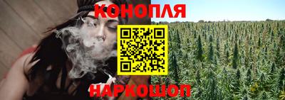 прущие грибы Гагарин