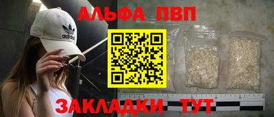 прущие грибы Гатчина