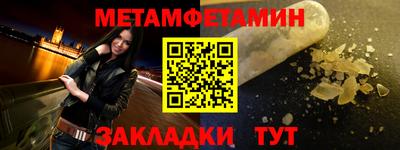 прущие грибы Гатчина